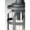 Progress Lighting Haslett Collection One-Light Medium Wall Lantern P560095-031